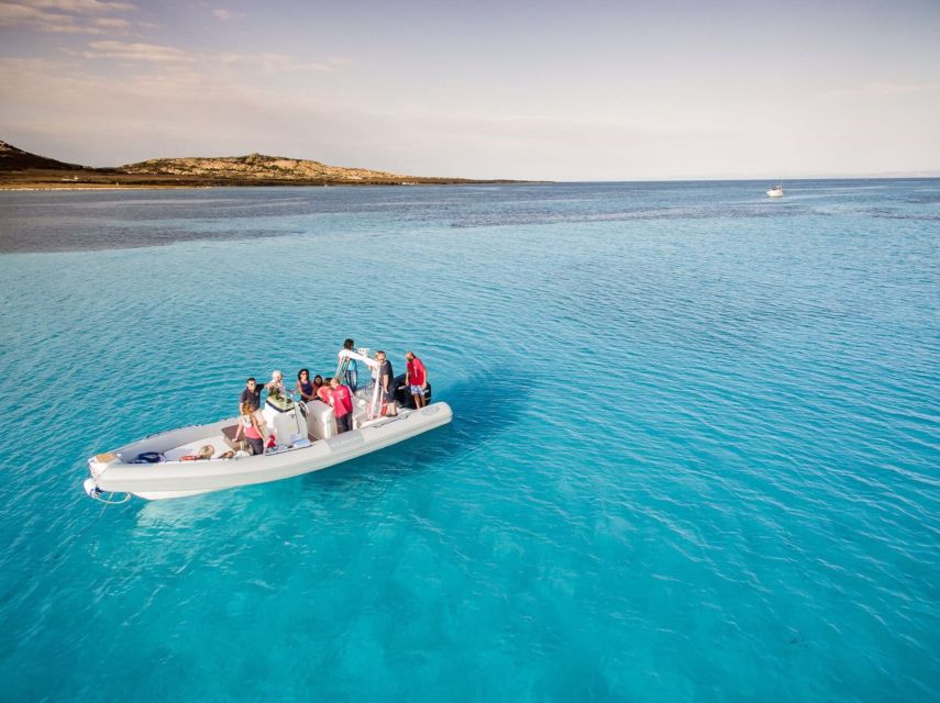 From Stintino: Half-day dinghy tour in Asinara Gulf - Setting out from Porticciolo dell’Ancora