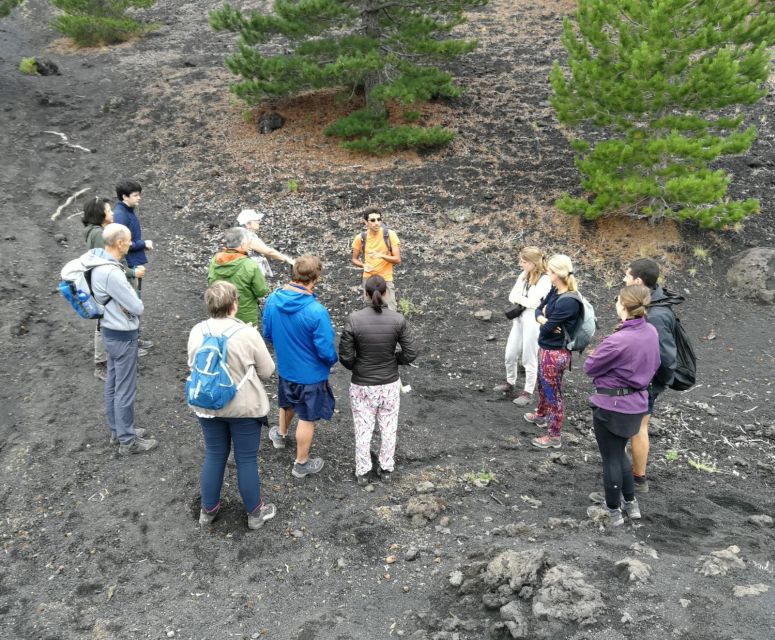 From Taormina: Full-Day Etna, Wine & Alcantara Canyons Tour - Why Etna works so well as a full-day outing