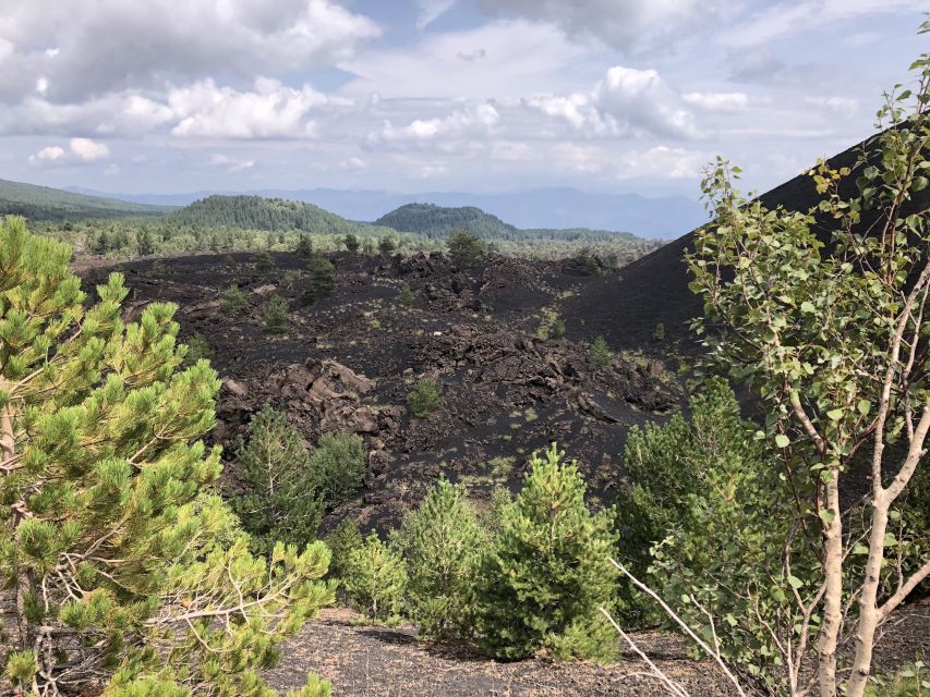 From Taormina: Full-Day Etna, Wine & Alcantara Canyons Tour - Is $116.68 good value?