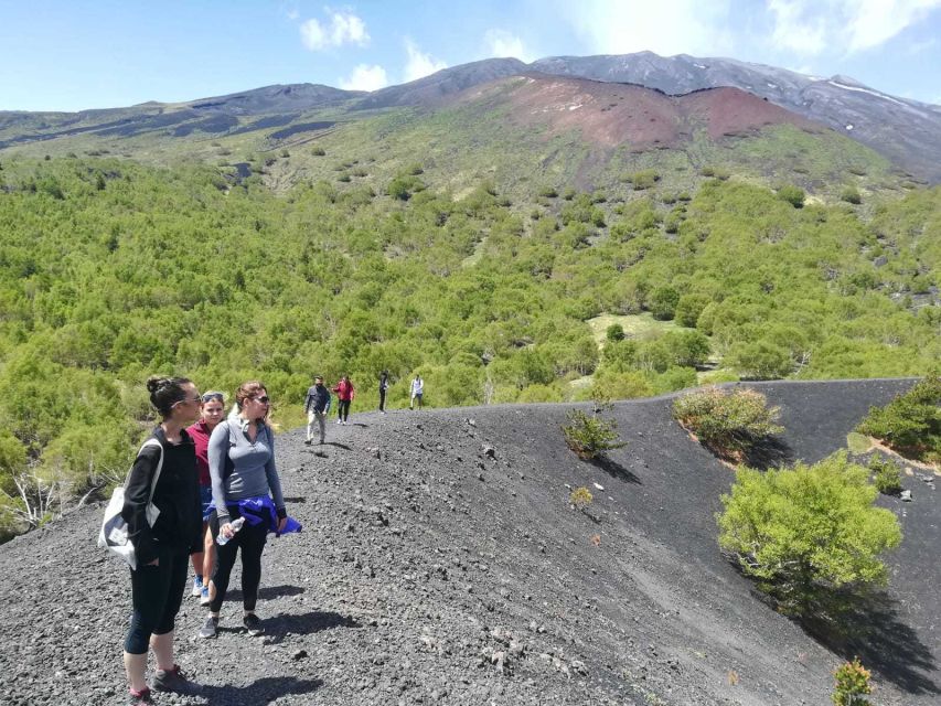 From Taormina: Half-Day Mount Etna Morning Trek - What You Learn About the Volcano