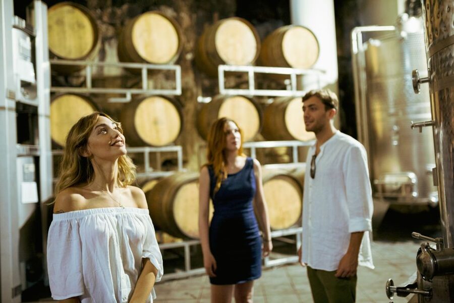 From Taormina: Mount Etna Food and Wine Tasting Tour - Comfort, timing, and what the six hours really mean