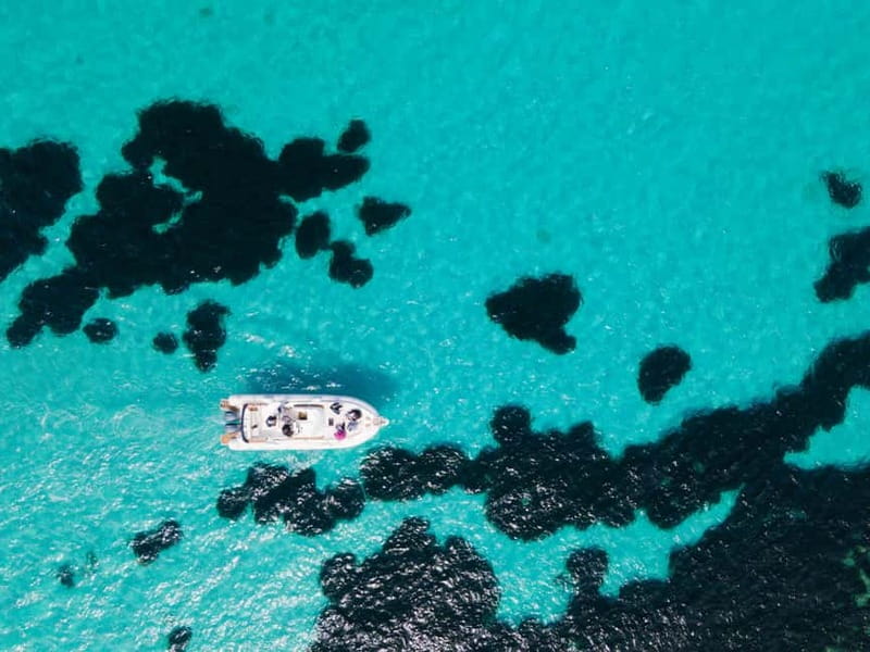 From Trapani: Egadi Islands Favignana & Levanzo Cruise - Why the small boat changes the day