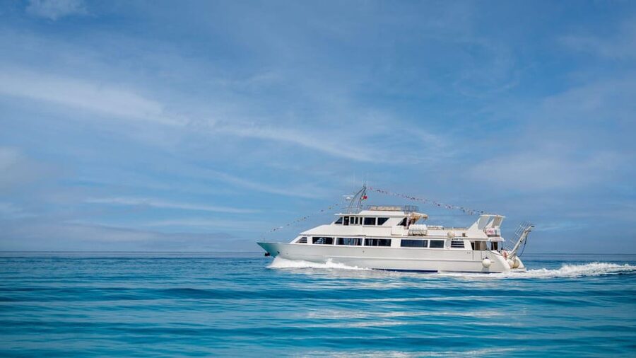 From Tropea: Lipari Panarea Stromboli Night Cruise - Three Aeolian islands from a single boat