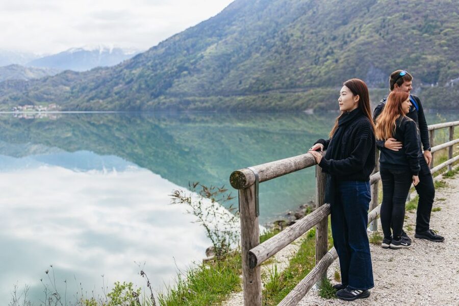 From Venice: Cortina and Dolomites Mountains Day Trip - What the driver adds to the day