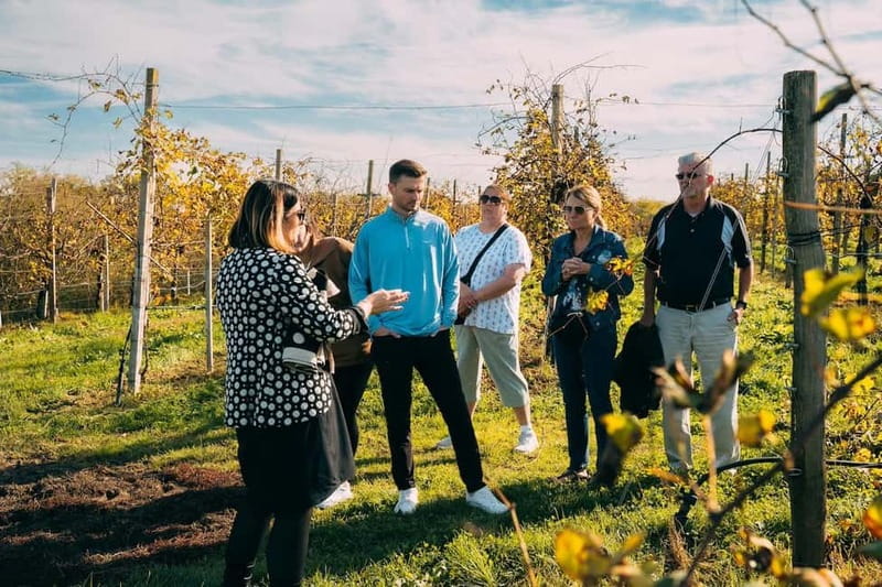 From Venice: Prosecco Hills and Wine Tasting Tour - Conegliano and the Mechanics of the Bubbles