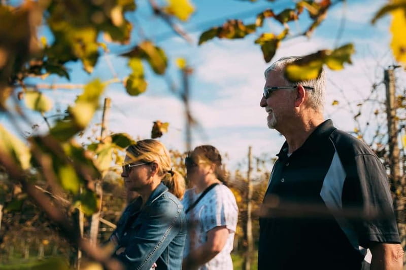 From Venice: Prosecco Hills and Wine Tasting Tour - Is $153.16 Good Value?