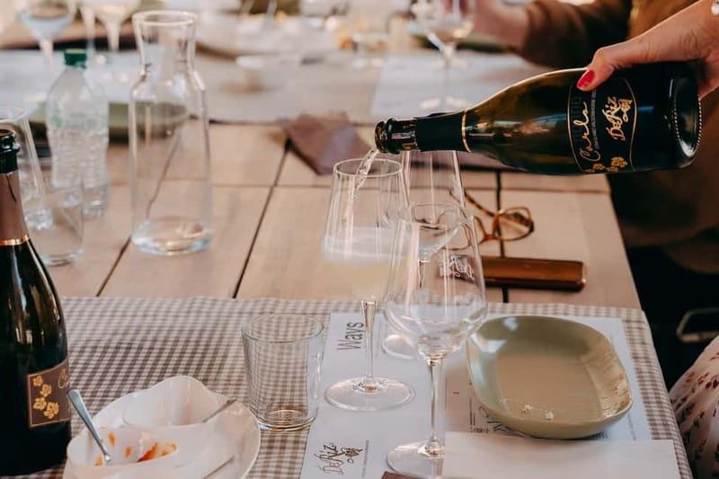 From Venice: Prosecco Hills and Wine Tasting Tour - Practical Details Before You Book