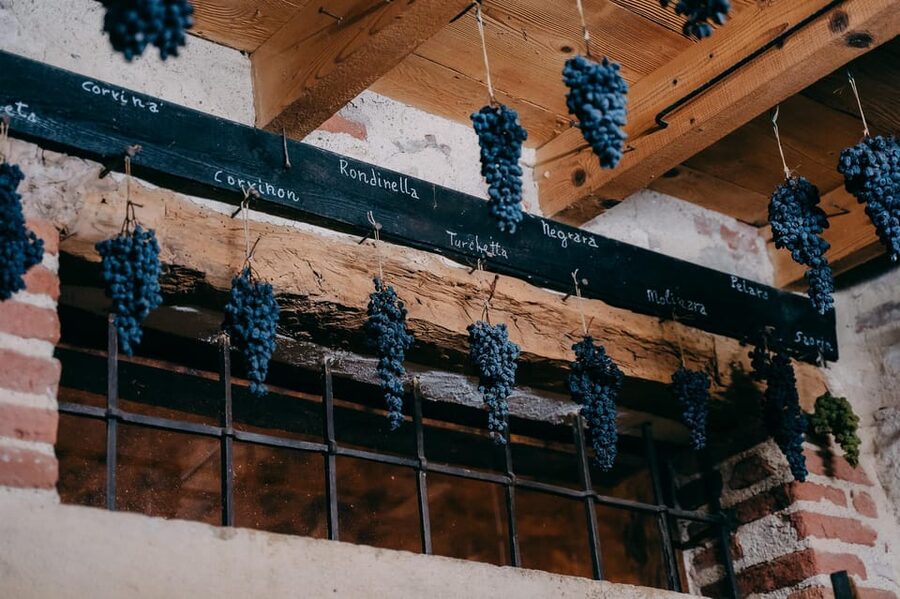 From Verona: Valpolicella and Amarone Wine Tasting Tour - Practical verdict: book it if you want a focused wine afternoon