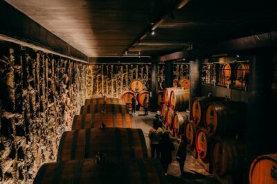 Valpolicella and Amarone Wine Tasting Tour
