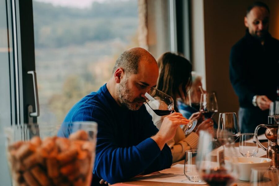 From Verona: Valpolicella and Amarone Wine Tasting Tour - What you will learn about Amarone and Ripasso