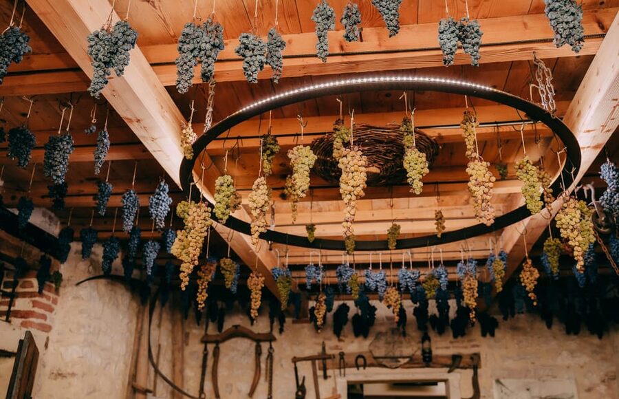 From Verona: Valpolicella and Amarone Wine Tasting Tour - Comfort, timing, and the ride back to Verona