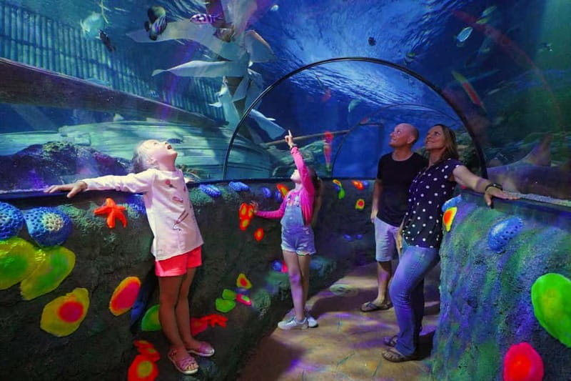 Gardaland SEA LIFE Aquarium: Open Date Entry Ticket - Forty tanks, from clownfish to freshwater life