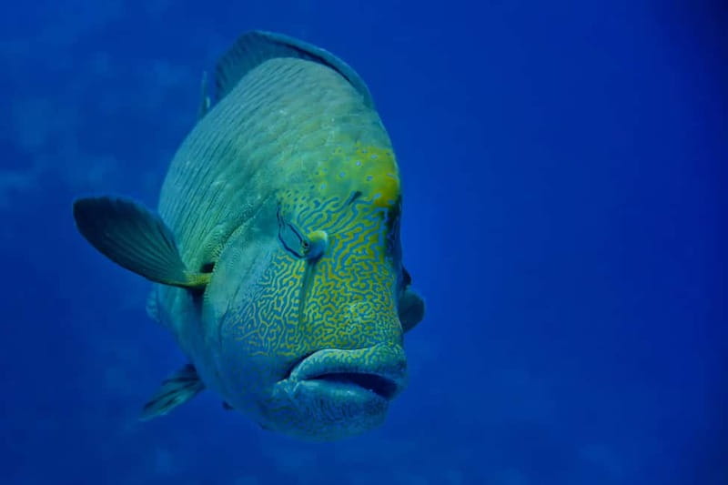 Gardaland SEA LIFE Aquarium: Open Date Entry Ticket - Food, outdoor space, and family breaks