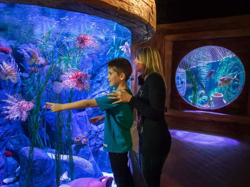 Gardaland SEA LIFE Aquarium: Open Date Entry Ticket - Getting to Gardaland SEA LIFE Aquarium