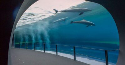 Aquarium and FantaCinema Combined Ticket