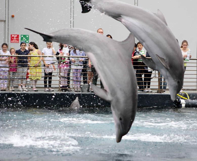 Genoa: Aquarium, Galata Museum and Submarine Entry Tickets - Should you book this Genoa ticket?