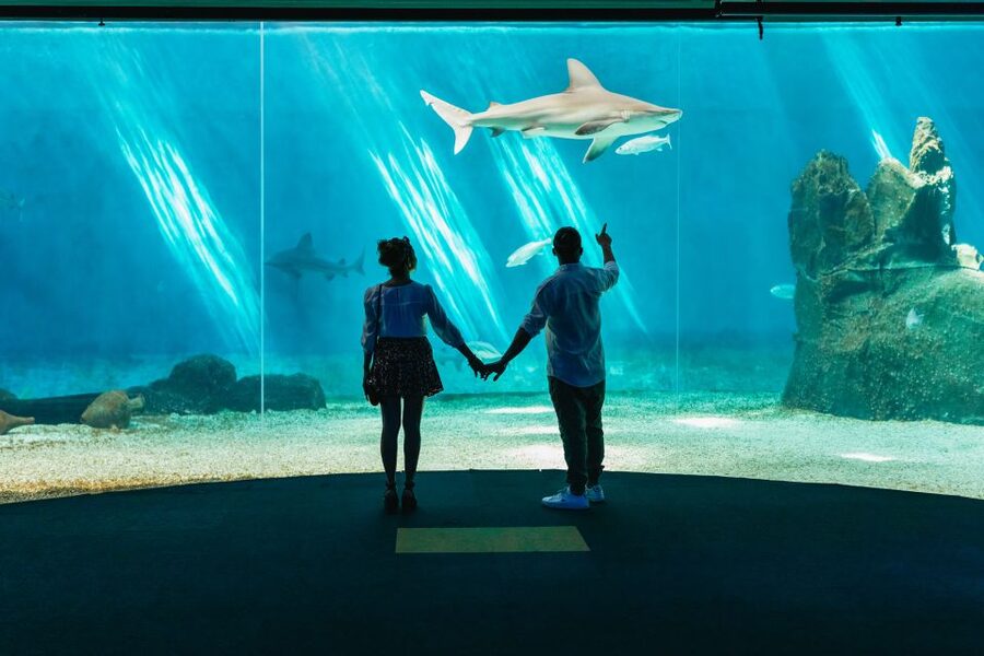 Genoa: Aquarium of Genoa Entry Ticket - How long should you spend here?