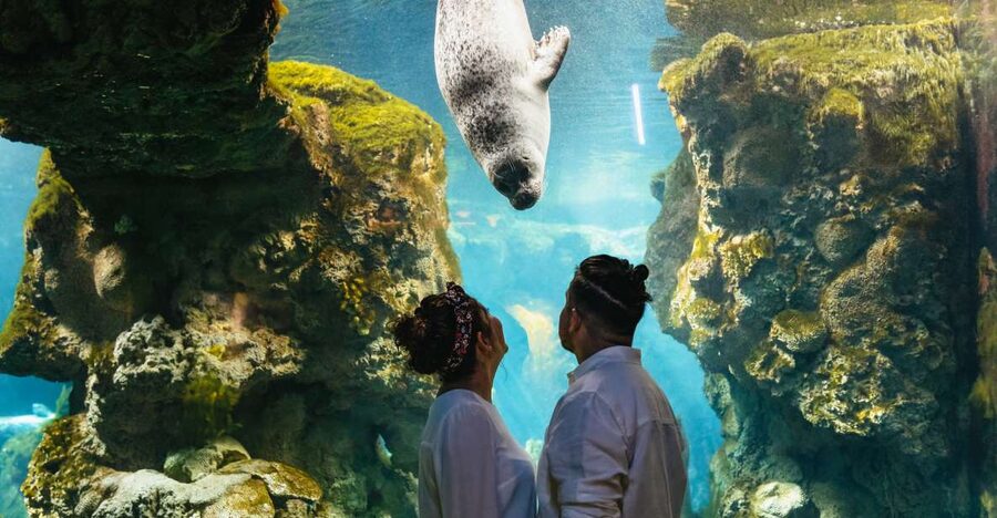 Genoa: Aquarium of Genoa Entry Ticket - Families, adults, and accessibility