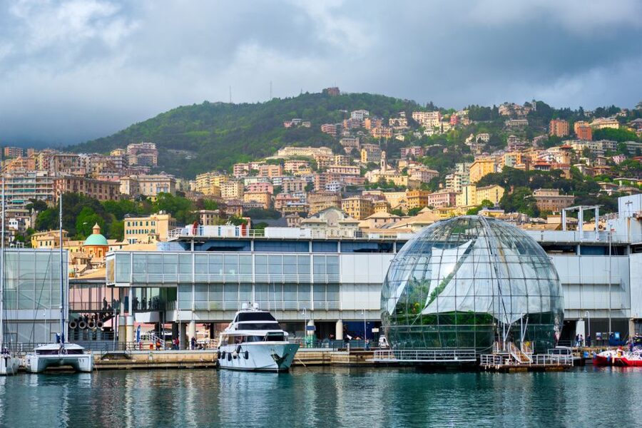 Genoa: Aquarium of Genoa with Lunch - How to make the most of your visit