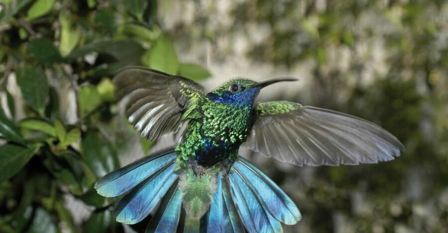 Genoa: Biosfera Entrance Ticket - Birds, wildlife, and a closer look at fragile habitats