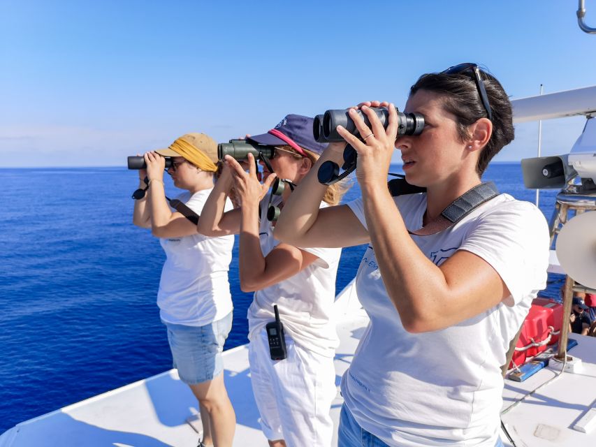Genoa: Cetacean Watching Cruise with Marine Biologist Guide - Four and a Half Hours on Open Water