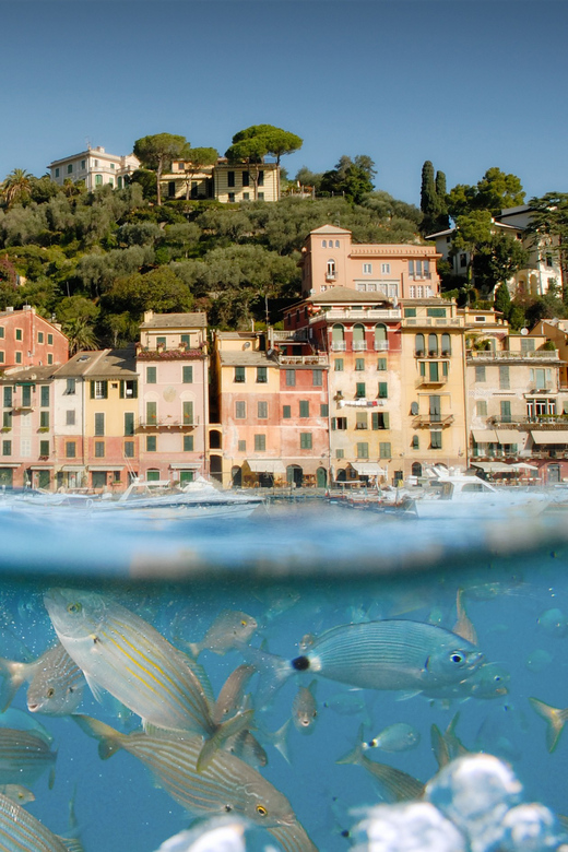 Genoa: Half-Day Tour to Portofino - The harbor, boutiques, and San Giorgio viewpoint