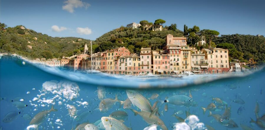 Genoa: Half-Day Tour to Portofino - What the tour does not include