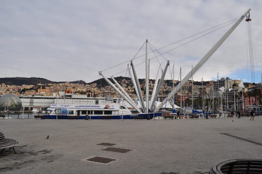 Genoa: Half-Day Tour to Portofino - Timing, boarding, and comfort tips