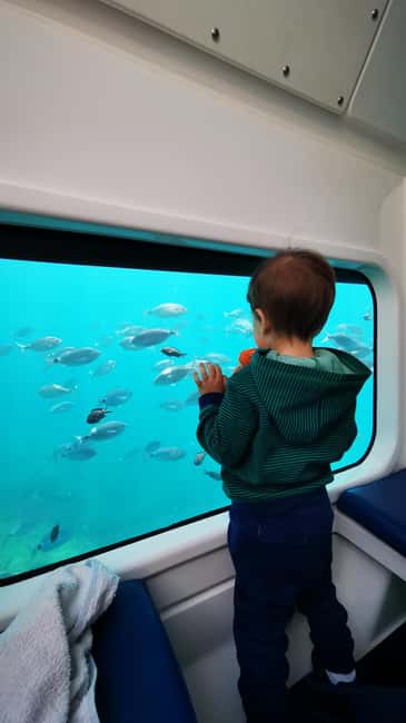 Giardini Naxos: Semi-Submarine Tour to Isola Bella - Is $44.41 a fair price?