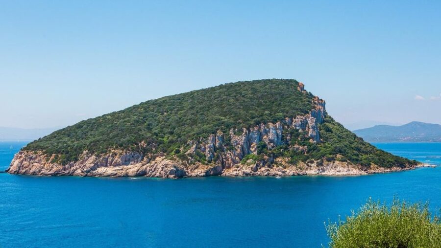 Golfo Aranci: Dolphin Watching and Snorkeling Boat Tour - Setting out from Sos Aranzos toward Cape Figari