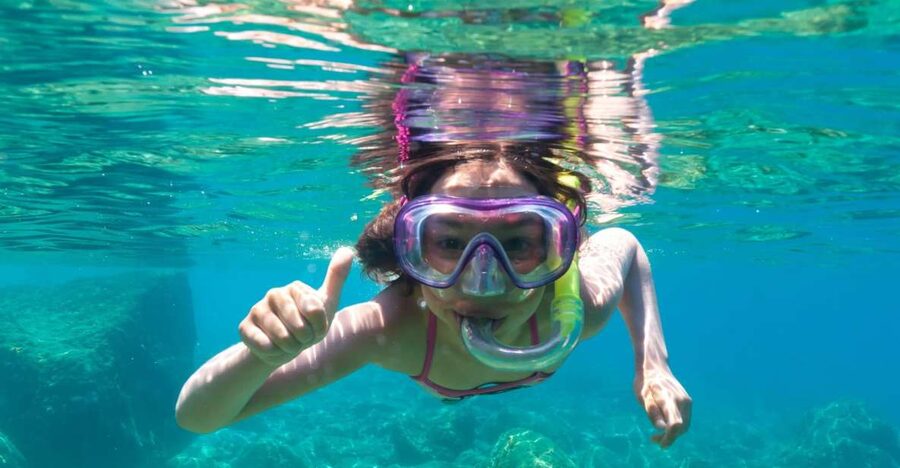 Golfo Aranci: Dolphin Watching and Snorkeling Boat Tour - Cala Greca, Cala Moresca, and Figarolo Island