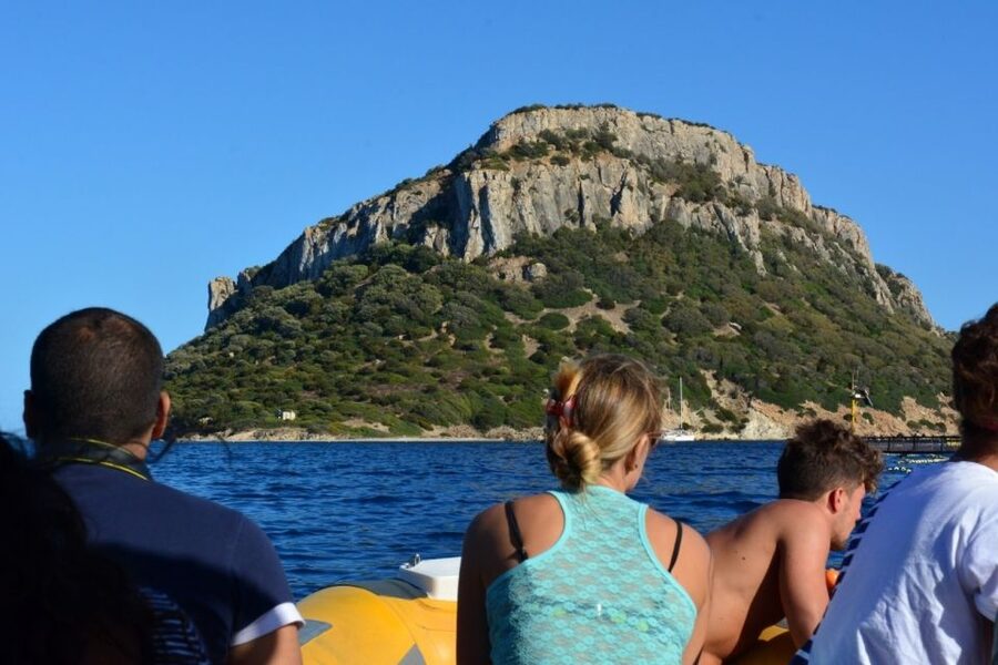Golfo Aranci: Eco-Friendly Dolphin Watching Boat Trip - Why the eco-friendly approach matters