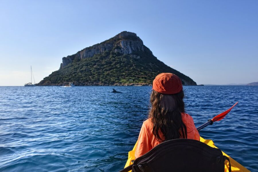 Golfo Aranci: Kayak Tour with Dolphins and Aperitif - Key points to know before booking
