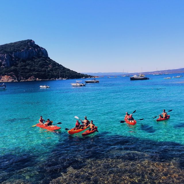 Golfo Aranci: Kayak Tour with Dolphins and Aperitif - Why the dolphins are a bonus, not a promise