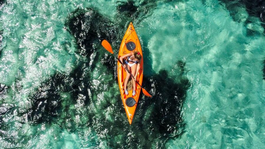 Golfo Aranci: Kayak Tour with Dolphins and Aperitif - What makes the guides worth having