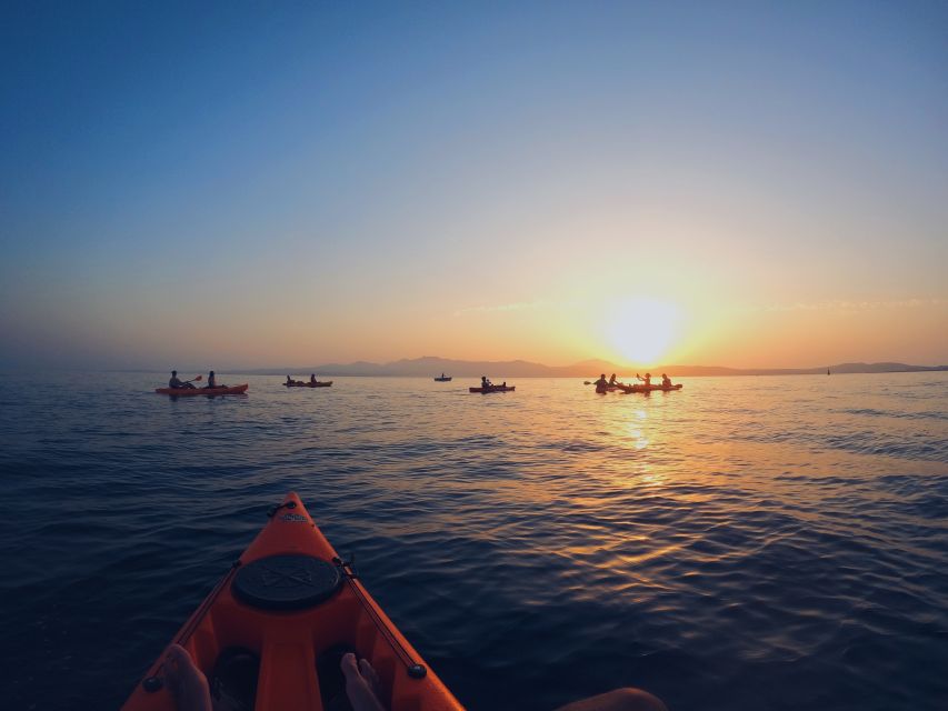 Golfo Aranci: Kayak Tour with Dolphins and Aperitif - Price, timing, and physical demands