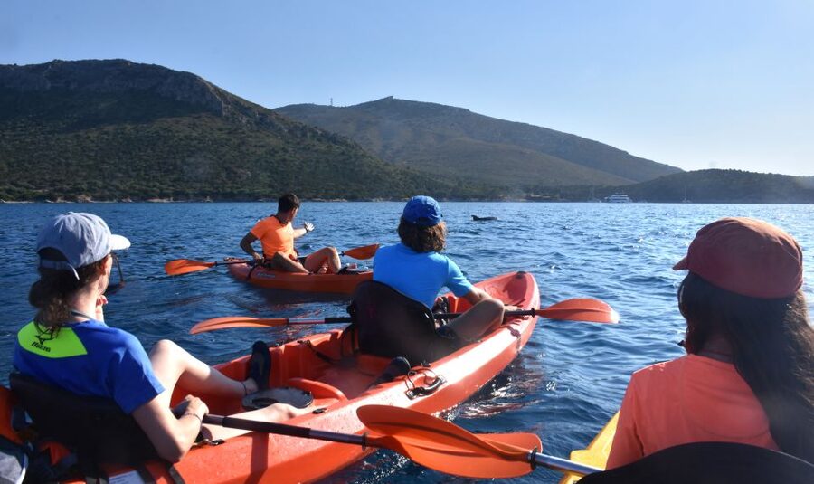 Golfo Aranci: Kayak Tour with Dolphins and Aperitif - Weather, cancellations, and choosing your departure