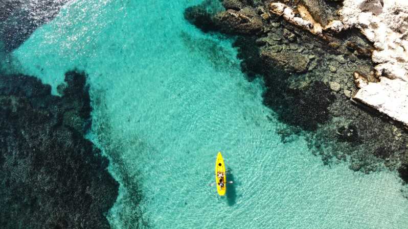 Golfo Aranci: Small group Kayak tour with Aperitif &dolphins - Key points at a glance