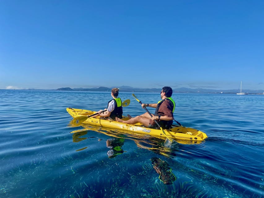 Golfo Aranci: Small group Kayak tour with Aperitif &dolphins - Is $58 a fair price?