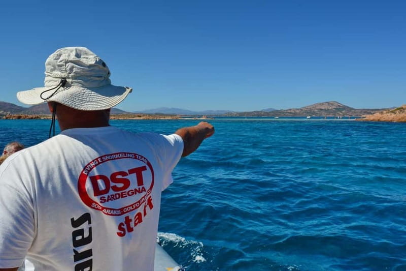 Golfo Aranci: Tavolara and Molara Snorkeling Dinghy Tour - Key details before you book