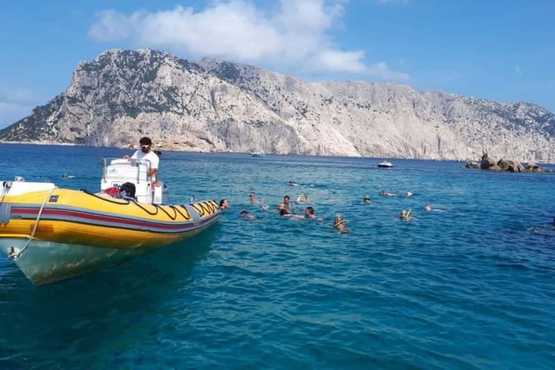 Golfo Aranci: Tavolara and Molara Snorkeling Dinghy Tour - Who should book this snorkeling trip?