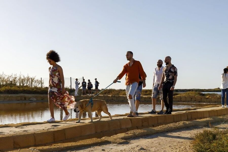 Guided tour of the Trapani Salt Pans and Salt Museum - Who will enjoy this tour most