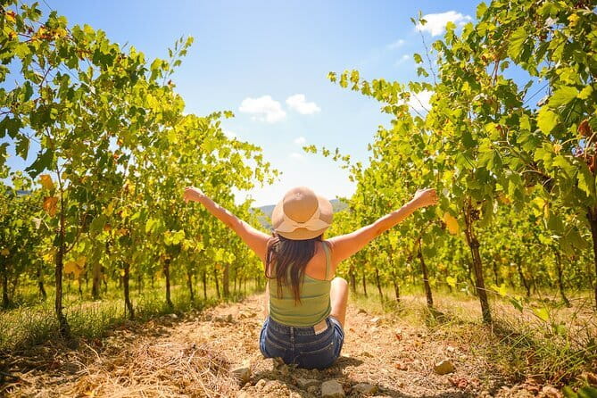 Half day Chianti Vineyard Escape from Florence with Wine Tastings - Two estates, two different views of Chianti wine
