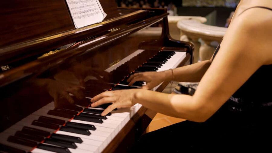 Heart of Florence: Dinner and Three Tenors Concert Ticket - Who should book this evening