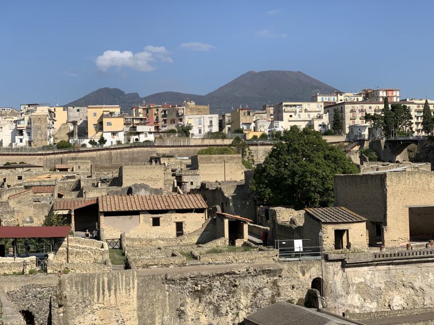 Herculaneum: Tickets & Tour with a Local Archaeologist - Key points to know before you book