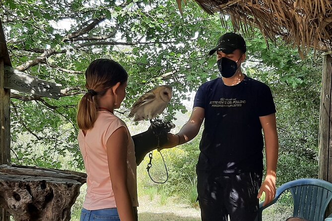 Interactive Educational Course on Birds of Prey - Booking, Arrival, and Cancellation Tips