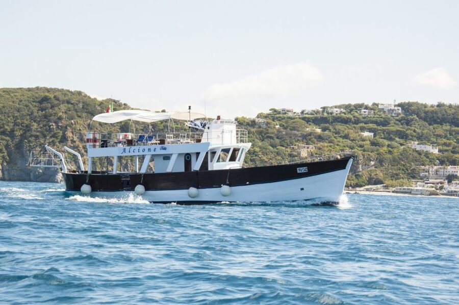Ischia: Island Boat Tour with Neapolitan Lunch & Snorkeling - The food is a major part of the value