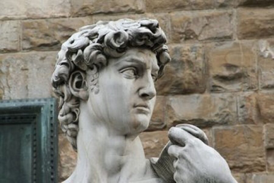 La Spezia: Florence, Pisa w/Leaning Tower & Accademia Option - Who should book this excursion?