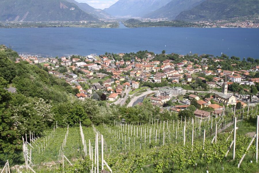 Lake Como: Winery Tour with Wine Tasting - Key points to know