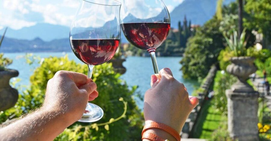Lake Como: Winery Tour with Wine Tasting - A small winery above northern Lake Como